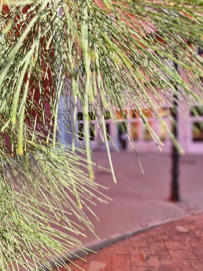 Lounge Garden Sea Mint Fresh Apartment Valencia Exterior foto